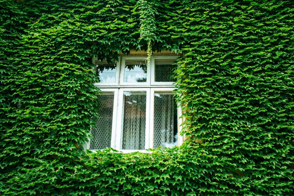 La Maison Passive : L’Avenir de l’Immobilier Durable